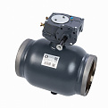 065N0186GR RJIP Premium Кран шаровой WW DN600 PN25 WG (приварной, с редуктором, С/П), Ридан